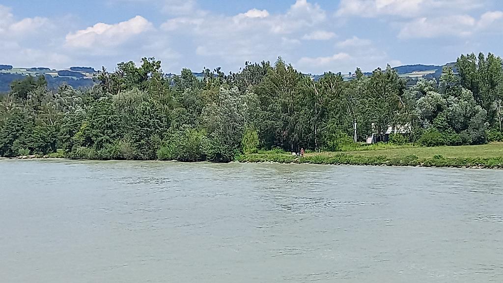 Donau (579)